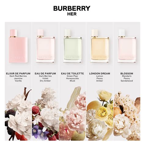 burberry her burberry for women|burberry women's parfum.